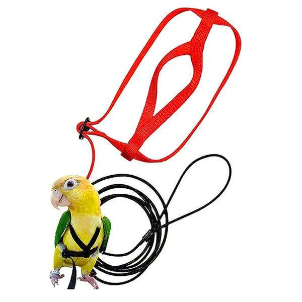 Adjustable Training Design Pet Parrot Bird Harness and Leash Set, M Size - GreenFur