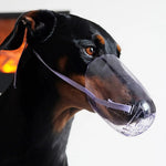 Adjustable Transparent Muzzle Breathable PC Pet Head Cover - GreenFur