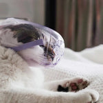 Adjustable Transparent Muzzle Breathable PC Pet Head Cover - GreenFur