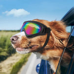 Adjustable Windproof UV - Protective Sunglasses for Dog - GreenFur