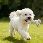 Adorable 4 Pieces Set Series Pet Dog Toy - GreenFur