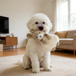 Adorable 4 Pieces Set Series Pet Dog Toy - GreenFur