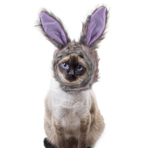 Adorable Bunny Headwear for Cats Halloween Costume - GreenFur