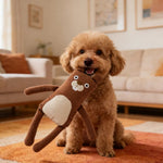 Adorable Companion Waffle Brown Squirrel Squeaky Dog Plush Toy - GreenFur