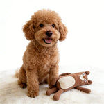 Adorable Companion Waffle Brown Squirrel Squeaky Dog Plush Toy - GreenFur