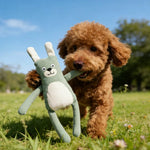 Adorable Companion Waffle Green Bunny Squeaky Dog Plush Toy - GreenFur