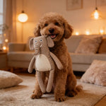 Adorable Companion Waffle Grey Elephant Squeaky Dog Plush Toy - GreenFur