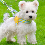 Adorable Dopamine Color Pet Harness and Leash Set - GreenFur