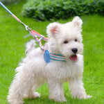 Adorable Dopamine Color Pet Harness and Leash Set - GreenFur