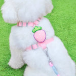 Adorable Fruit Design Pet Harness and Leash Set - GreenFur