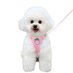 Adorable Fruit Design Pet Harness and Leash Set - GreenFur