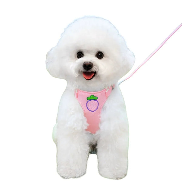 Adorable Fruit Design Pet Harness and Leash Set - GreenFur