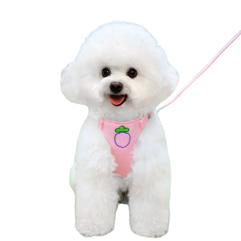 Adorable Fruit Design Pet Harness and Leash Set - GreenFur