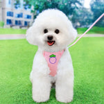 Adorable Fruit Design Pet Harness and Leash Set - GreenFur
