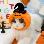 Adorable Pumpkin Cat Hat Halloween Pet Cap - GreenFur