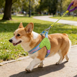 Adorable Summer 5 Color Option Pet Harness and Leash Set - GreenFur