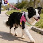 Adorable Summer 5 Color Option Pet Harness and Leash Set - GreenFur