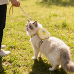 Adorable Summer Pet Backpack Harness and Leash Set - GreenFur