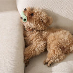 Aggressive Chewers Dog Chew Toy Dental Teeth Cleaning - GreenFur