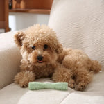 Aggressive Chewers Dog Chew Toy Dental Teeth Cleaning - GreenFur
