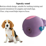 Animal Shaped Latex Squeaky Chew Dog Toy - GreenFur