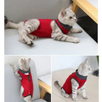 Anti - Lick Pet Surgical Recovery Suit for Cats - GreenFur