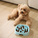 Anti - slip Easy Cleaning Slow Feeder Square Pet Food Bowl - GreenFur