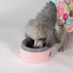 Anti - Slobber Cat Dog Water Dispenser Leak - Proof Drinking Pet Water Bowl - GreenFur