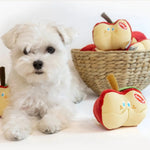 Apple Shaped Squeaky Plush Pet Toy with Hidden Treat Compartment - GreenFur