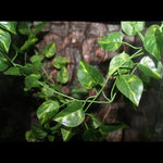 Artificial Hanging Plant Decoration for Reptile Terrarium Habitat Use, Conch Leaf - GreenFur