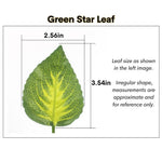 Artificial Hanging Vines for Reptile Terrarium Tank Jungle Decoration, Green Star Leaf - GreenFur