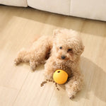 Berry Shape Treat Dispensing Silicone Dog Slow Feeder Toys - GreenFur