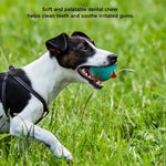 Bird Egg Designed Rubber Squeaky Dog Chew Toy - GreenFur