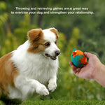 Bird Egg Designed Rubber Squeaky Dog Chew Toy - GreenFur
