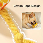Bite Resistant Sound Plush Dog Ball Toy with Cotton Rope - GreenFur