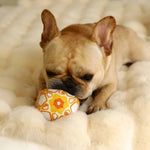Bite Resistant Sound Plush Dog Ball Toy with Cotton Rope - GreenFur