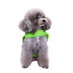 Black Cat Doll Style Halloween Dog Costume - GreenFur