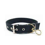 Black Durable Dog Collar for Dogs with Metal Buckle - GreenFur