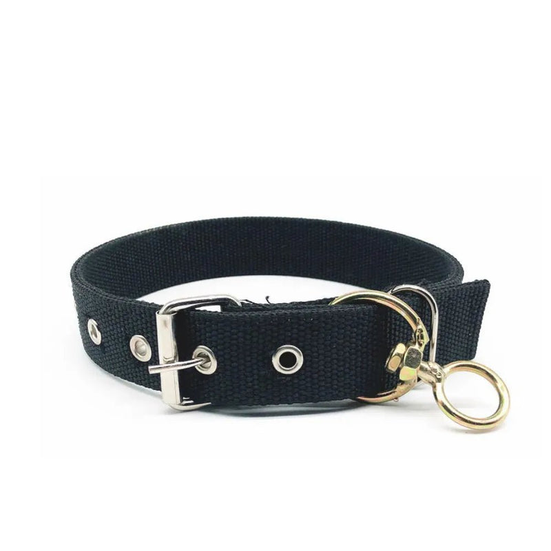 Black Durable Dog Collar for Dogs with Metal Buckle - GreenFur