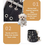 Black Durable Dog Collar for Dogs with Metal Buckle - GreenFur