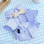 Blue Striped Pet T Shirt with Bow Tie Collar - GreenFur