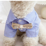 Blue Striped Pet T Shirt with Bow Tie Collar - GreenFur