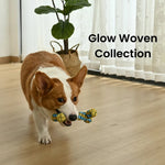 Bone Style Glow in the Dark Polyester Woven Strip Dog Toy - GreenFur