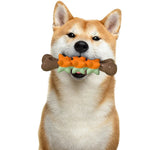 Bone TPR Dog Chew Toy Durable Teething Toy for Small Dogs - GreenFur