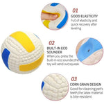 Bouncing Interactive Fetch Squeaky Latex Volleyball Dog Toy - GreenFur