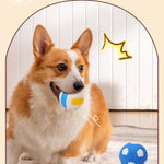 Bouncing Interactive Fetch Squeaky Latex Volleyball Dog Toy - GreenFur