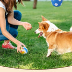 Bouncing Interactive Fetch Squeaky Latex Volleyball Dog Toy - GreenFur