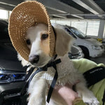 Breathable and Lightweight Pet Summer Sun Hat - GreenFur
