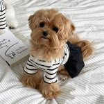 Breathable Clean Design Striped Dog Dress - GreenFur