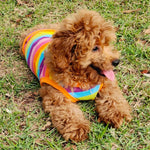 Breathable Colorful Rainbow Vest for Dogs and Cats - GreenFur